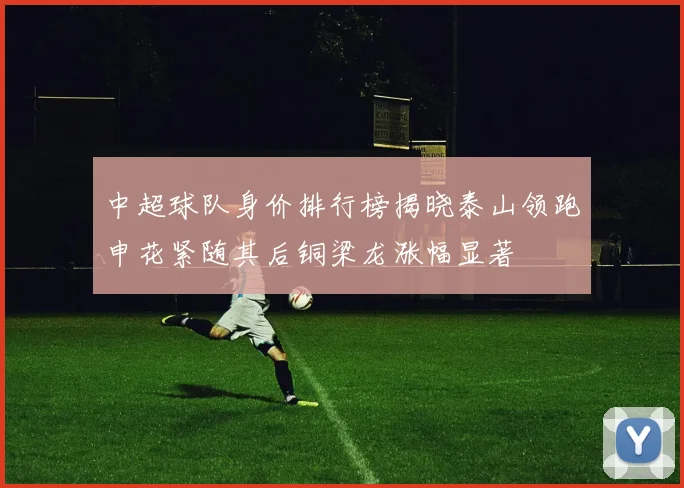 中超球队身价排行榜揭晓泰山领跑申花紧随其后铜梁龙涨幅显著