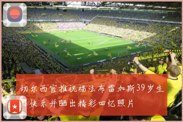 切尔西官推祝福法布雷加斯39岁生日快乐并晒出精彩回忆照片